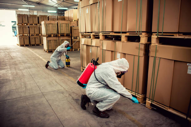 Best Affordable Pest Control Services  in York, PA