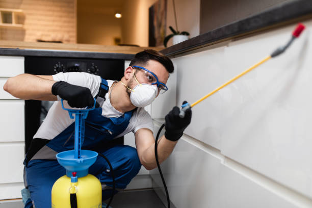 Best Best Pest Control Companies  in York, PA