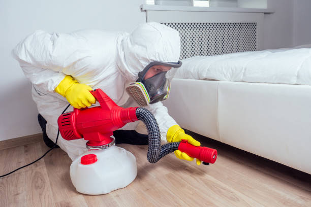 Best Local Pest Control Services  in York, PA