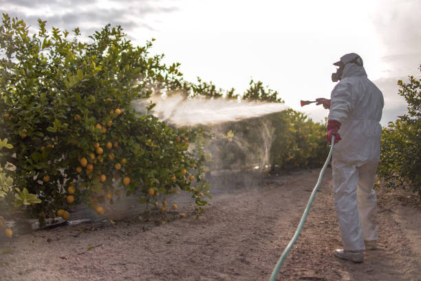 Best Pest Removal Services  in York, PA