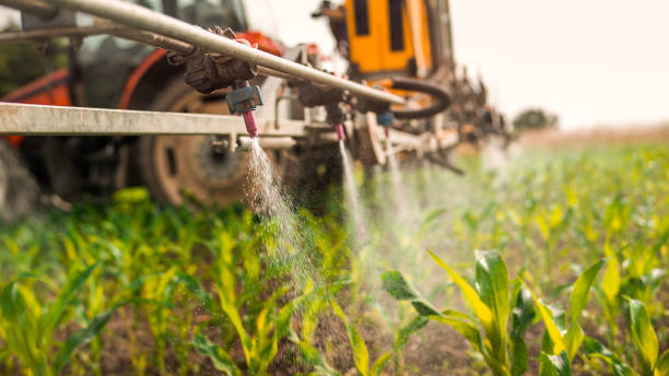 Best Ant Control Services  in York, PA