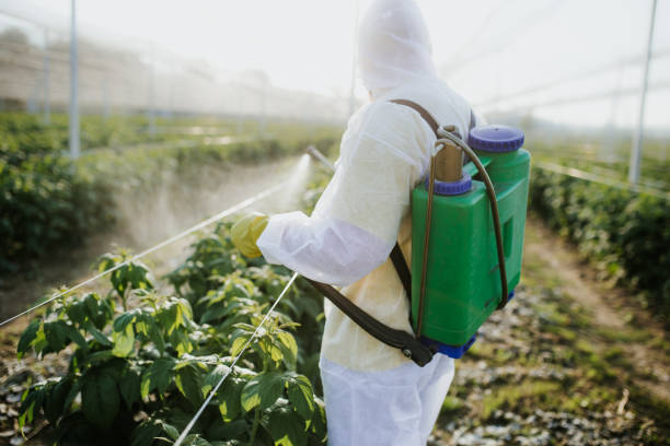 Trusted York, PA Pest Control Experts
